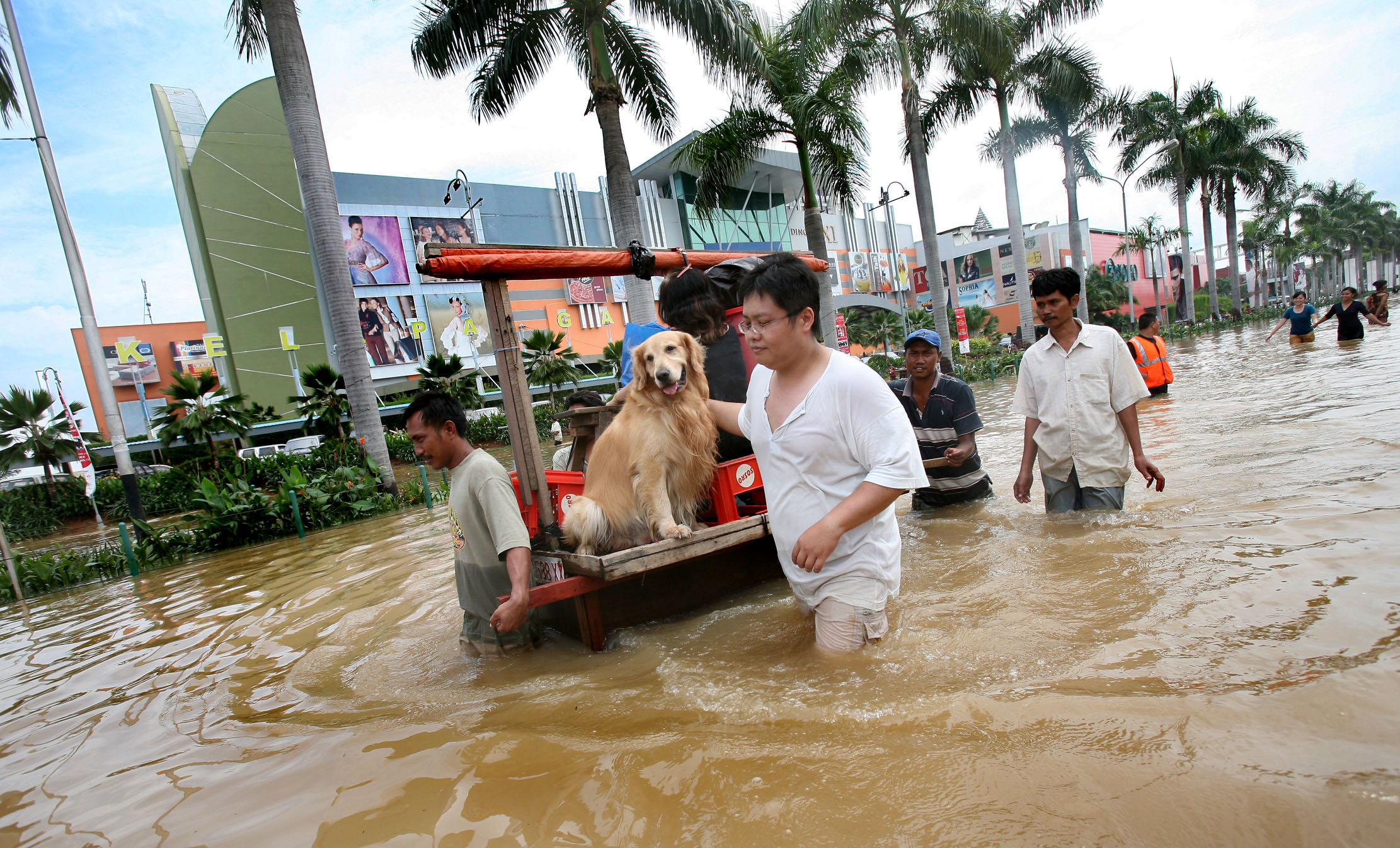 Gambar Lucu Jakarta Banjir Keren Dan Kocak Update Status